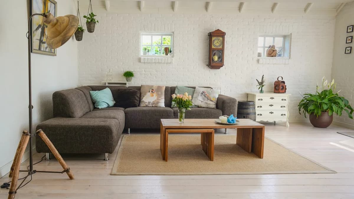 Bright living room with a grey sofa, wooden coffee table and plants
