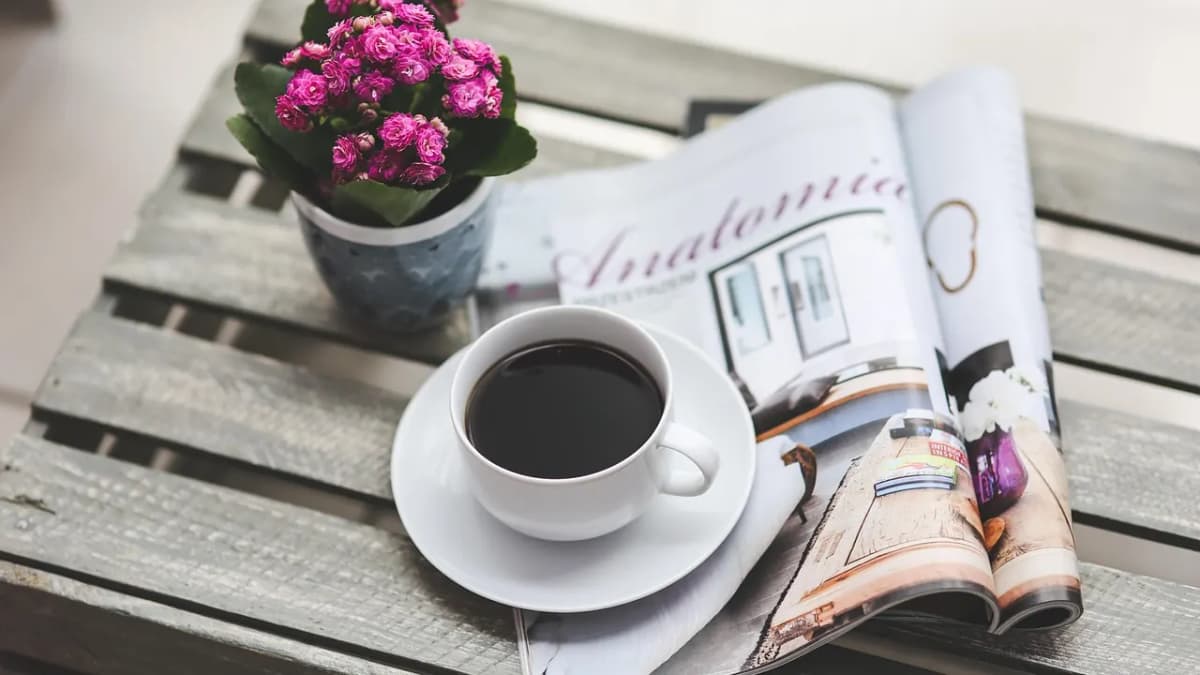 Open magazine beside a cup of coffee and a small pot of pink flowers